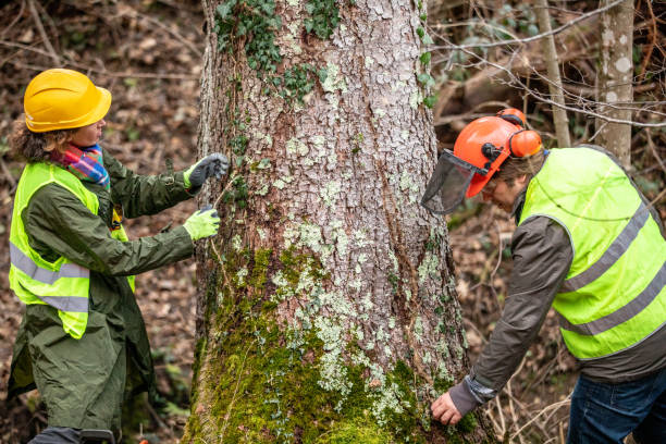 Soil Testing and Treatment in Felton, CA